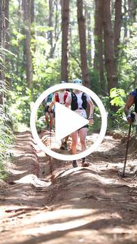 BIB:  <button type="button" onclick="openModal(26569474)" class="btn btn-primary btn-sm float-right" data-toggle="modal" data-target=".modal-high-quality">
                <i class="fa fa-download"></i> Download
                </button>